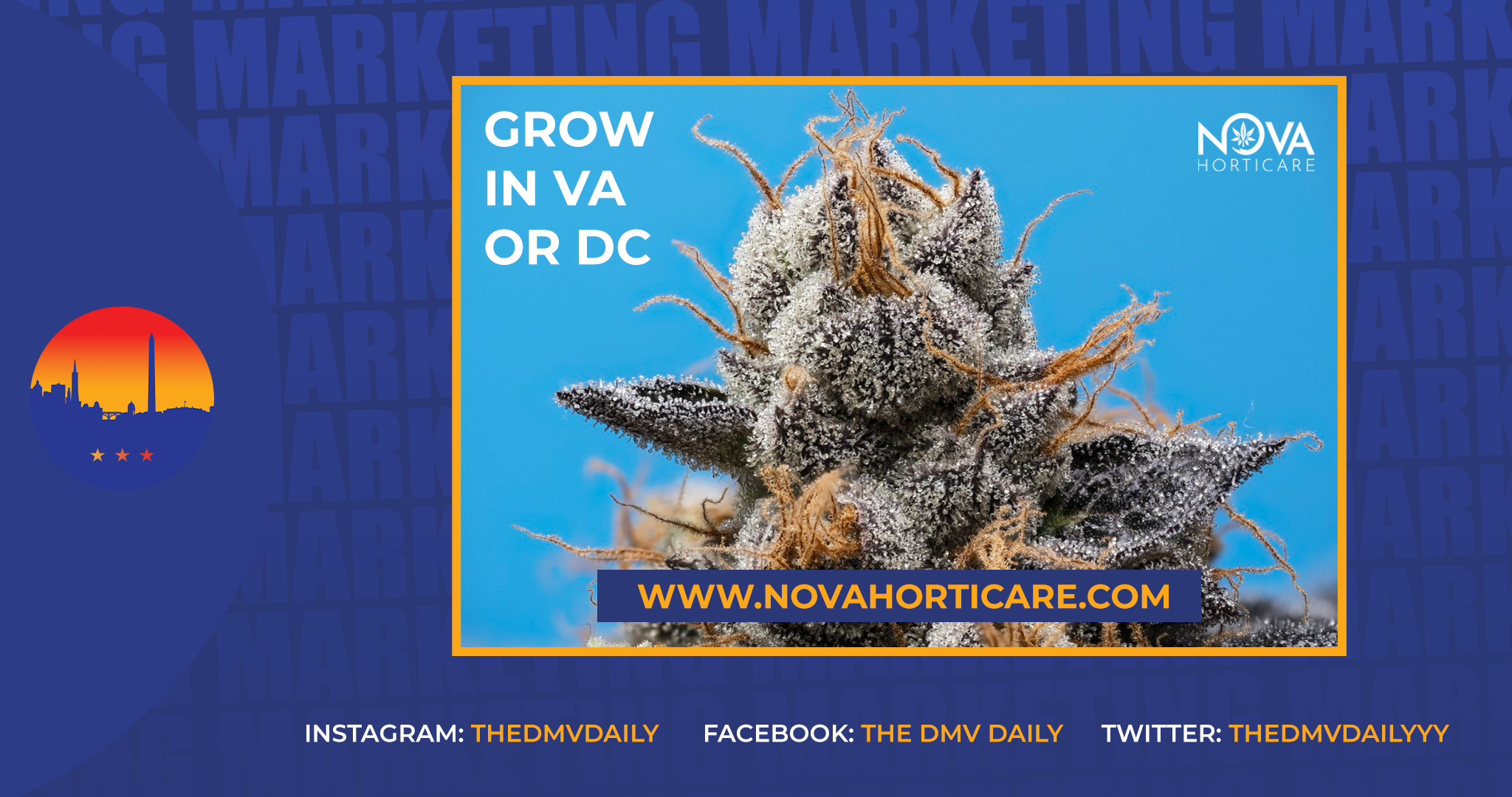 It’s Safer To Grow In Your Own Home, Nova Horticare Makes That Happen For You.