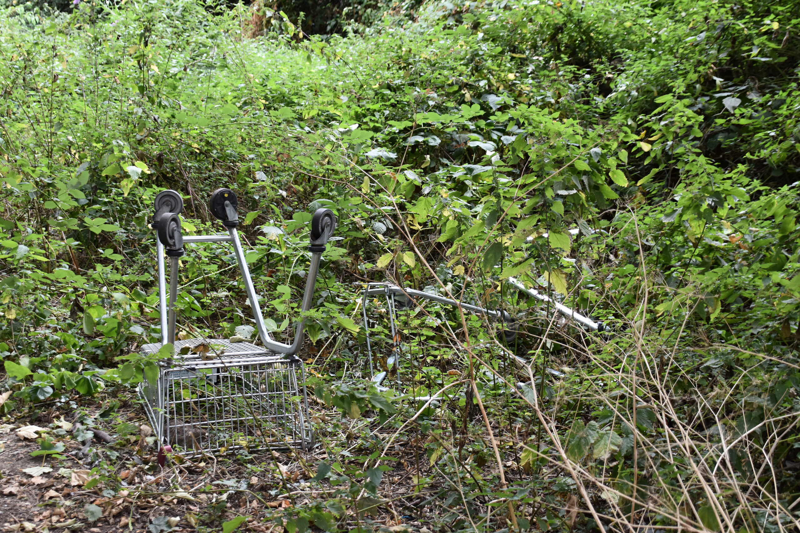 New Law Imposes $2,000 Daily Fine On Stores For Abandoned Shopping Carts