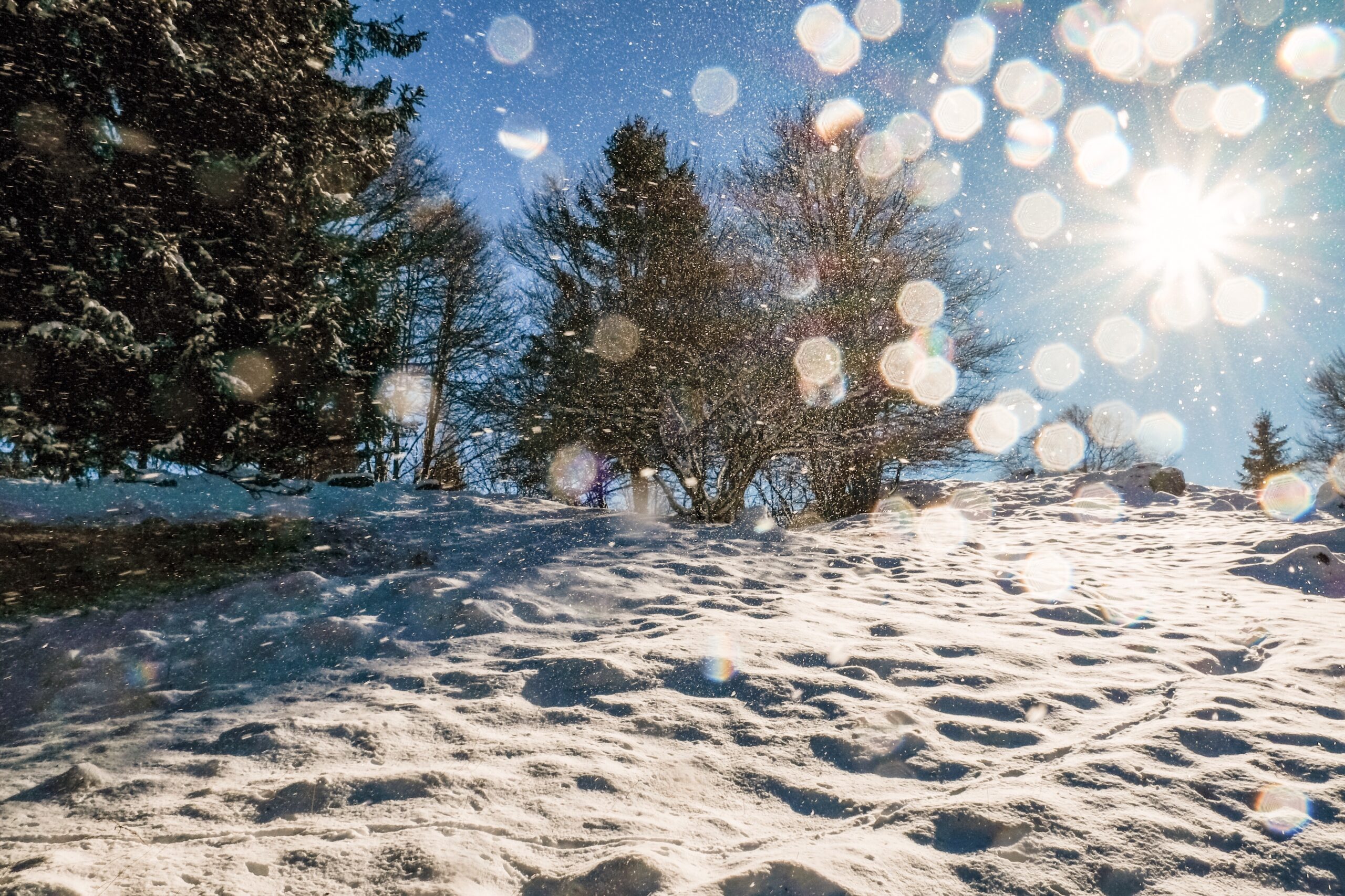 The DMV Region Can Expect It’s First Snowstorm To Begin Your Workweek.